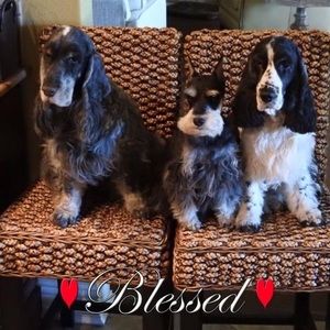 Meet your Posher, Sandra